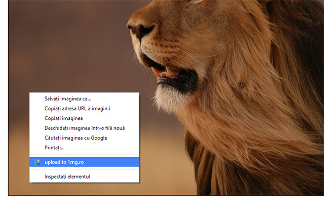 1mg.ro image uploader extension from Chrome web store to be run with OffiDocs Chromium online 1mg.ro image uploader extension from Chrome web store to be run with OffiDocs Chromium online