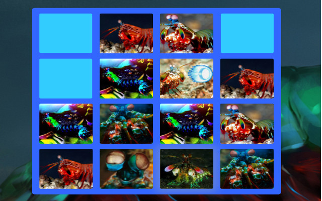 2048: Mantis Shrimp Edition from Chrome web store to be run with OffiDocs Chromium online 2048: Mantis Shrimp Edition from Chrome web store to be run with OffiDocs Chromium online