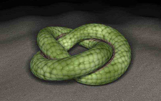 3D scene of a snake rolling on the ground from Chrome web store to be run with OffiDocs Chromium online 3D scene of a snake rolling on the ground from Chrome web store to be run with OffiDocs Chromium online