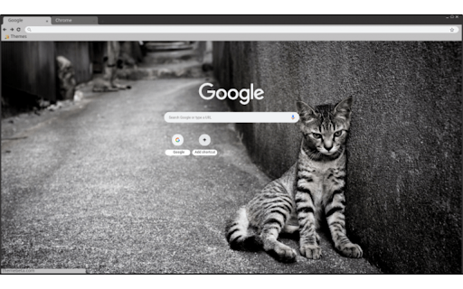 Abandoned cat from Chrome web store to be run with OffiDocs Chromium online Abandoned cat from Chrome web store to be run with OffiDocs Chromium online