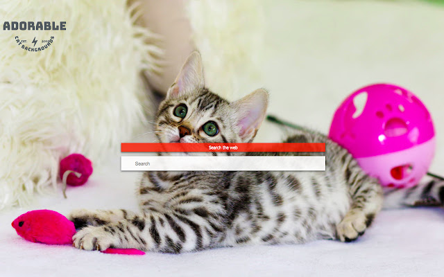 Adorable Cat Custom Backgrounds from Chrome web store to be run with OffiDocs Chromium online Adorable Cat Custom Backgrounds from Chrome web store to be run with OffiDocs Chromium online