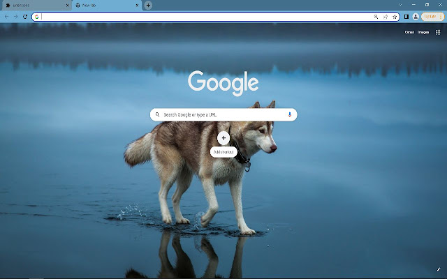 Alaskan malamute from Chrome web store to be run with OffiDocs Chromium online Alaskan malamute from Chrome web store to be run with OffiDocs Chromium online
