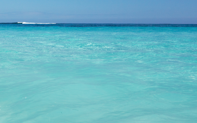 AllergicBoy.com from Chrome web store to be run with OffiDocs Chromium online AllergicBoy.com from Chrome web store to be run with OffiDocs Chromium online