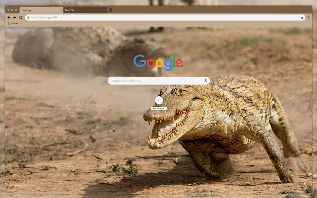Alligator in the desert from Chrome web store to be run with OffiDocs Chromium online Alligator in the desert from Chrome web store to be run with OffiDocs Chromium online