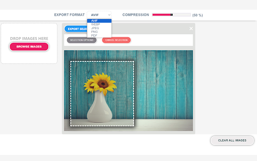 Any Image Converter from Chrome web store to be run with OffiDocs Chromium online Any Image Converter from Chrome web store to be run with OffiDocs Chromium online