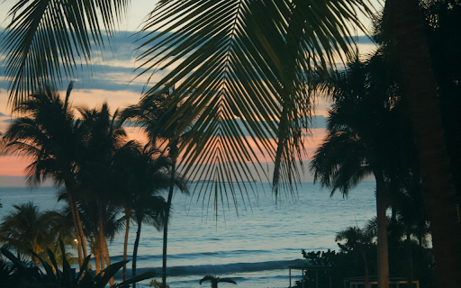 A Scenic Shot of the Seaside from Chrome web store to be run with OffiDocs Chromium online A Scenic Shot of the Seaside from Chrome web store to be run with OffiDocs Chromium online