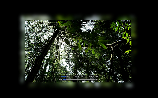 Aurora Player from Chrome web store to be run with OffiDocs Chromium online Aurora Player from Chrome web store to be run with OffiDocs Chromium online