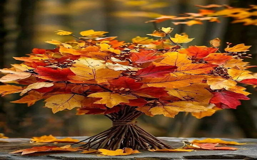 Autumn leaf bouquet wallpaper from Chrome web store to be run with OffiDocs Chromium online Autumn leaf bouquet wallpaper from Chrome web store to be run with OffiDocs Chromium online