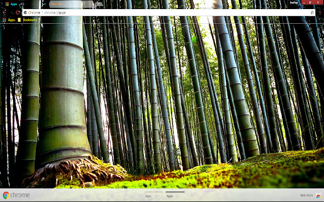 Bamboo Earth Forest from Chrome web store to be run with OffiDocs Chromium online Bamboo Earth Forest from Chrome web store to be run with OffiDocs Chromium online
