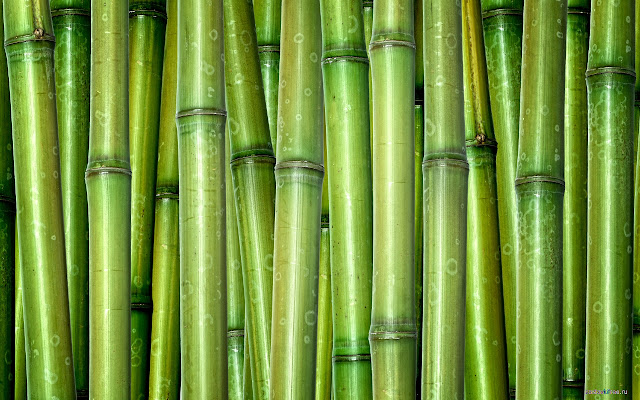 Bamboo Style from Chrome web store to be run with OffiDocs Chromium online Bamboo Style from Chrome web store to be run with OffiDocs Chromium online