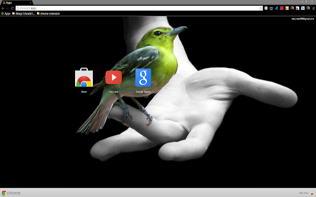 Beautiful Bird On A Hand from Chrome web store to be run with OffiDocs Chromium online Beautiful Bird On A Hand from Chrome web store to be run with OffiDocs Chromium online