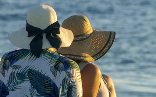 Beautiful wide brimmed hats from Chrome web store to be run with OffiDocs Chromium online Beautiful wide brimmed hats from Chrome web store to be run with OffiDocs Chromium online