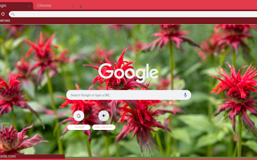 Bee Balm from Chrome web store to be run with OffiDocs Chromium online Bee Balm from Chrome web store to be run with OffiDocs Chromium online