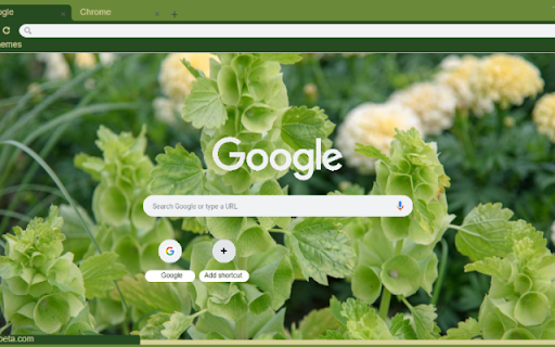 Bells of Ireland from Chrome web store to be run with OffiDocs Chromium online Bells of Ireland from Chrome web store to be run with OffiDocs Chromium online