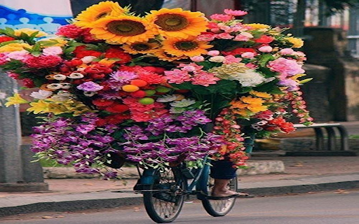 Bicycle carrying many flowers Wallpaper from Chrome web store to be run with OffiDocs Chromium online Bicycle carrying many flowers Wallpaper from Chrome web store to be run with OffiDocs Chromium online