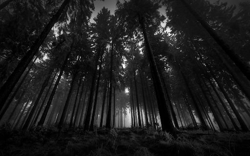 Black Wood Browser Theme from Chrome web store to be run with OffiDocs Chromium online Black Wood Browser Theme from Chrome web store to be run with OffiDocs Chromium online