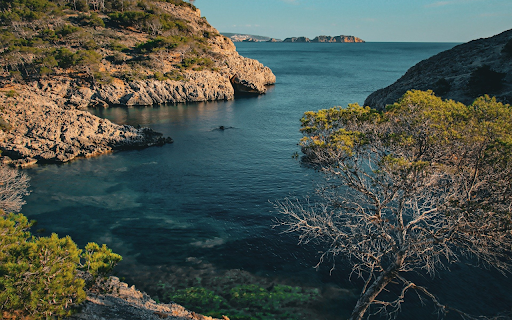 Blue Bay Sea from Chrome web store to be run with OffiDocs Chromium online Blue Bay Sea from Chrome web store to be run with OffiDocs Chromium online