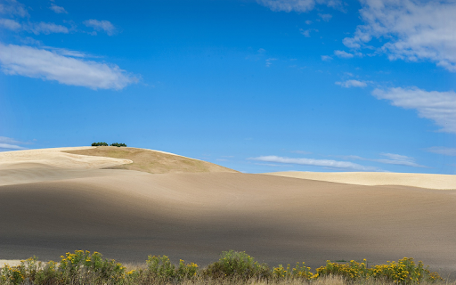 Blue sky and white sand from Chrome web store to be run with OffiDocs Chromium online Blue sky and white sand from Chrome web store to be run with OffiDocs Chromium online
