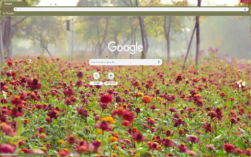 BOSQUE FLORAL from Chrome web store to be run with OffiDocs Chromium online BOSQUE FLORAL from Chrome web store to be run with OffiDocs Chromium online