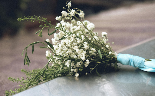 Bouquet of White Flowers on a Grave from Chrome web store to be run with OffiDocs Chromium online Bouquet of White Flowers on a Grave from Chrome web store to be run with OffiDocs Chromium online