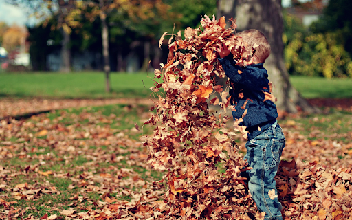 Boy playing with dry leaves from Chrome web store to be run with OffiDocs Chromium online Boy playing with dry leaves from Chrome web store to be run with OffiDocs Chromium online