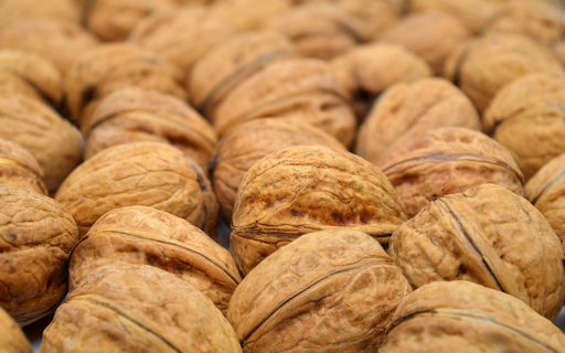 Brain nourishing food from Chrome web store to be run with OffiDocs Chromium online Brain nourishing food from Chrome web store to be run with OffiDocs Chromium online