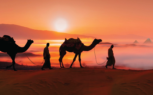 Cameleer from Chrome web store to be run with OffiDocs Chromium online Cameleer from Chrome web store to be run with OffiDocs Chromium online