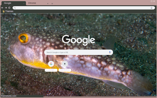 Ca Puffer from Chrome web store to be run with OffiDocs Chromium online Ca Puffer from Chrome web store to be run with OffiDocs Chromium online