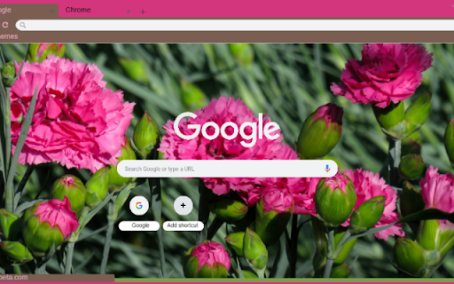 Carnation from Chrome web store to be run with OffiDocs Chromium online Carnation from Chrome web store to be run with OffiDocs Chromium online