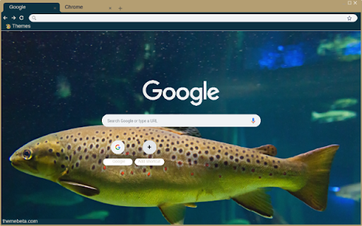 Ca Trout from Chrome web store to be run with OffiDocs Chromium online Ca Trout from Chrome web store to be run with OffiDocs Chromium online
