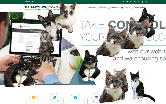 Cats!Cats Everywhere! from Chrome web store to be run with OffiDocs Chromium online Cats!Cats Everywhere! from Chrome web store to be run with OffiDocs Chromium online