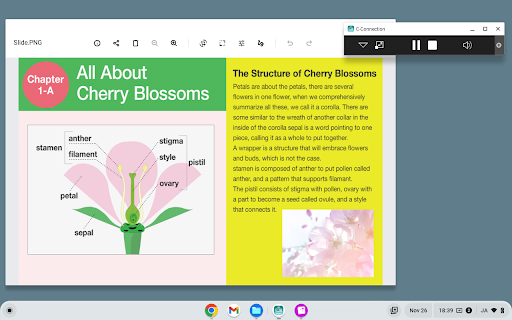 C Connection from Chrome web store to be run with OffiDocs Chromium online C Connection from Chrome web store to be run with OffiDocs Chromium online