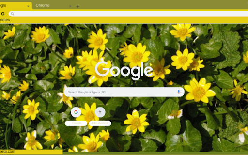 Celandine from Chrome web store to be run with OffiDocs Chromium online Celandine from Chrome web store to be run with OffiDocs Chromium online