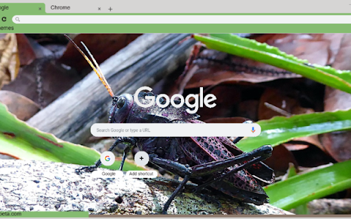 Chau Chau Den from Chrome web store to be run with OffiDocs Chromium online Chau Chau Den from Chrome web store to be run with OffiDocs Chromium online