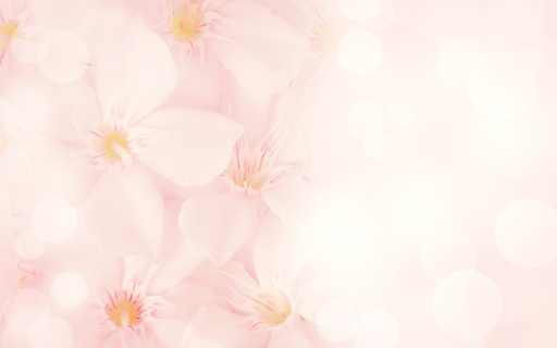 Cherry Blossoms on White from Chrome web store to be run with OffiDocs Chromium online Cherry Blossoms on White from Chrome web store to be run with OffiDocs Chromium online