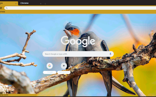 Chim from Chrome web store to be run with OffiDocs Chromium online Chim from Chrome web store to be run with OffiDocs Chromium online