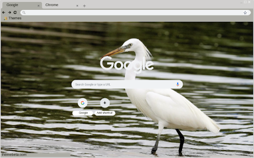 Chim Lac from Chrome web store to be run with OffiDocs Chromium online Chim Lac from Chrome web store to be run with OffiDocs Chromium online