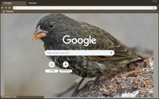 Chim Ma from Chrome web store to be run with OffiDocs Chromium online Chim Ma from Chrome web store to be run with OffiDocs Chromium online