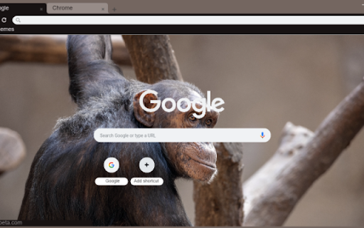 Chimpanzee from Chrome web store to be run with OffiDocs Chromium online Chimpanzee from Chrome web store to be run with OffiDocs Chromium online