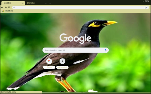 Chim sao from Chrome web store to be run with OffiDocs Chromium online Chim sao from Chrome web store to be run with OffiDocs Chromium online