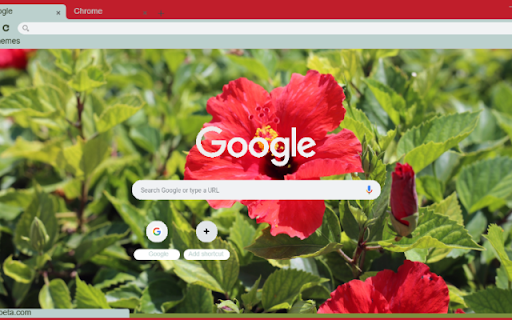 Chinese Hibiscus from Chrome web store to be run with OffiDocs Chromium online Chinese Hibiscus from Chrome web store to be run with OffiDocs Chromium online