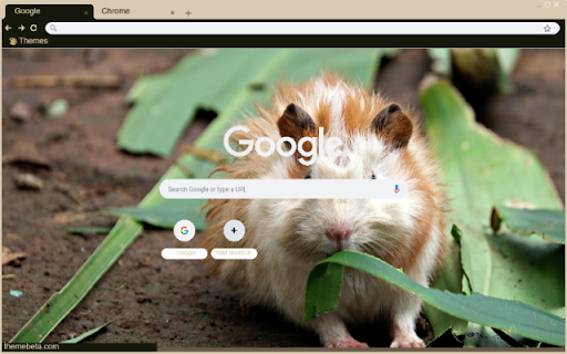 Chuot canh dong from Chrome web store to be run with OffiDocs Chromium online Chuot canh dong from Chrome web store to be run with OffiDocs Chromium online