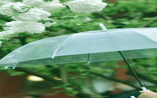 Clear color umbrella wallpaper from Chrome web store to be run with OffiDocs Chromium online Clear color umbrella wallpaper from Chrome web store to be run with OffiDocs Chromium online