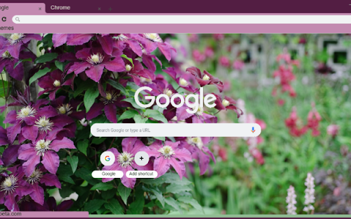 Clematis from Chrome web store to be run with OffiDocs Chromium online Clematis from Chrome web store to be run with OffiDocs Chromium online