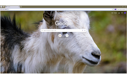 Close up of a Goat from Chrome web store to be run with OffiDocs Chromium online Close up of a Goat from Chrome web store to be run with OffiDocs Chromium online