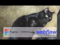 Copycat: Webflow Conversion (Beta) from Chrome web store to be run with OffiDocs Chromium online Copycat: Webflow Conversion (Beta) from Chrome web store to be run with OffiDocs Chromium online