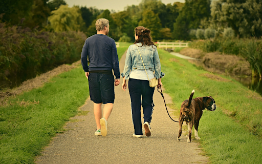 Couple going for a walk from Chrome web store to be run with OffiDocs Chromium online Couple going for a walk from Chrome web store to be run with OffiDocs Chromium online