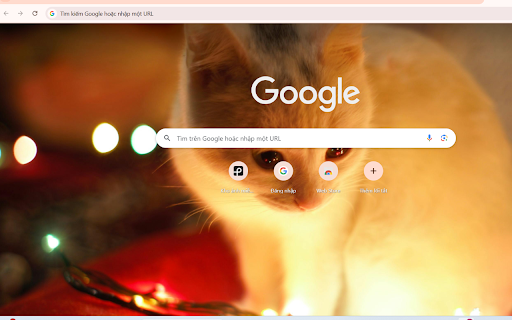 Cozy Cat with Holiday Lights from Chrome web store to be run with OffiDocs Chromium online Cozy Cat with Holiday Lights from Chrome web store to be run with OffiDocs Chromium online