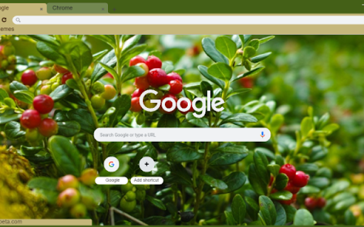 Cranberry Tree from Chrome web store to be run with OffiDocs Chromium online Cranberry Tree from Chrome web store to be run with OffiDocs Chromium online