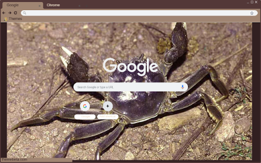 Cua from Chrome web store to be run with OffiDocs Chromium online Cua from Chrome web store to be run with OffiDocs Chromium online